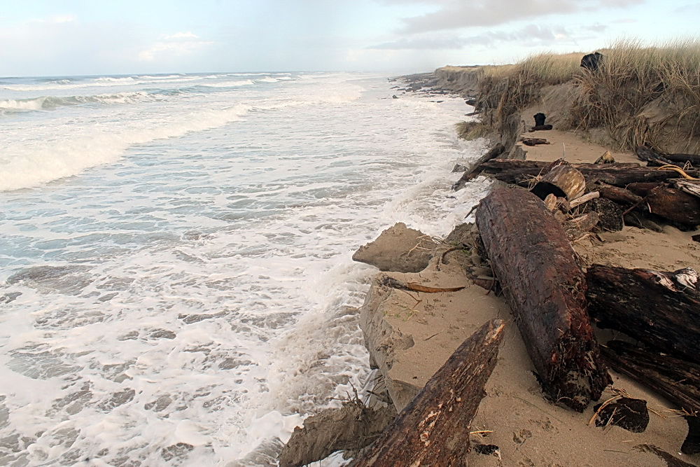 King_Tide_Horsfall_Beach_Susan_Ferguson.jpg